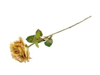 HASTE ROSA DOU 66cm 04 0014340
