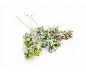 HASTE CARDO FLOCADO 70cm 30299