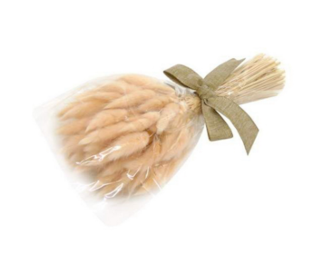 RAMO LAGURUS SALMAO 25cm 04 0015033