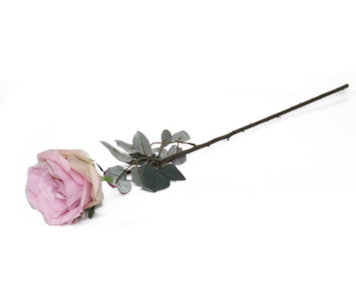 HASTE ROSA ROSA 76cm  BY19212#2