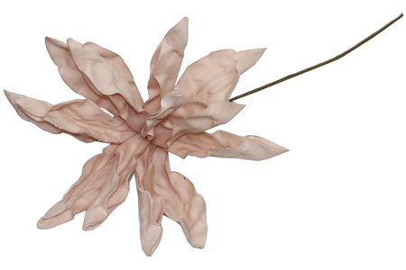 HASTE MAGNOLIA 75cm ROSA TL00657B-AG