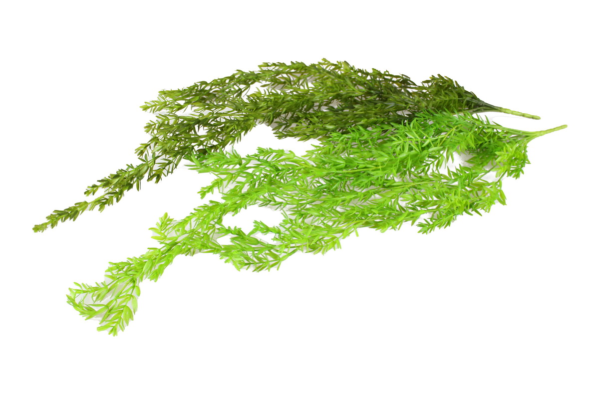 TREPADEIRA PLASTICA 78cm 52929