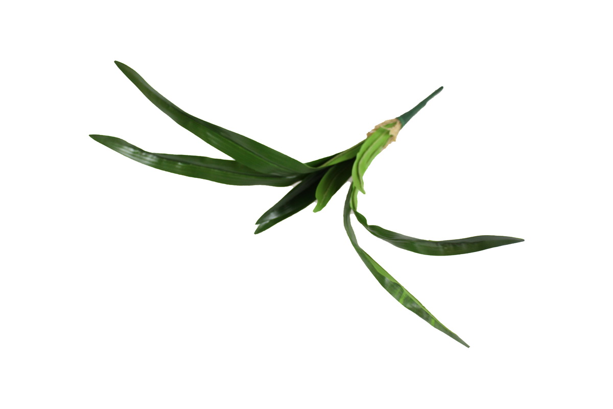 FOLHAGEM ORQUIDEA 52cm 52882