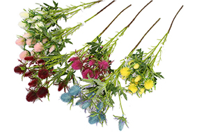 HASTE SEA HOLLY X10 68cm 20442