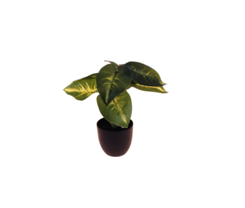VASO CALADIUM 25cm 25059